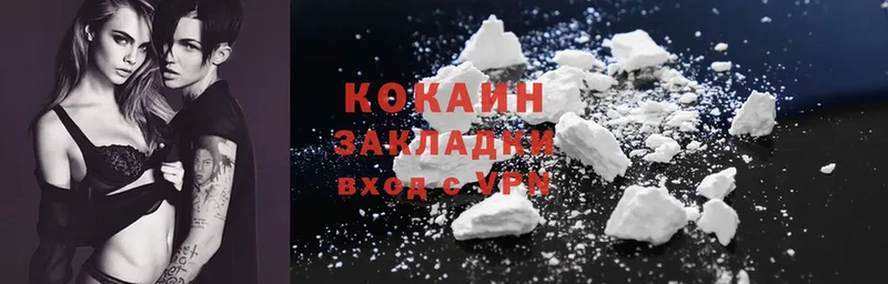 Cocaine Fish Scale  купить   omg рабочий сайт  Бодайбо 